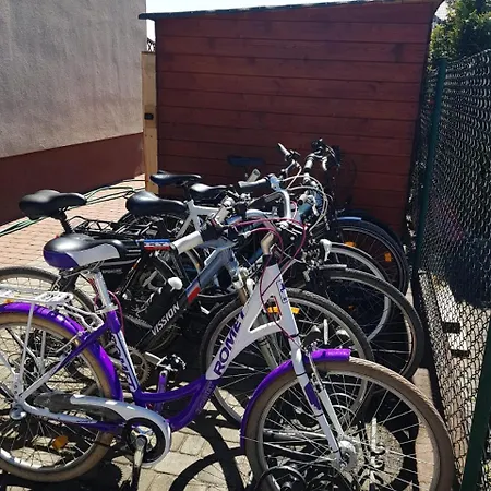 Goscinne Idalia カルビア