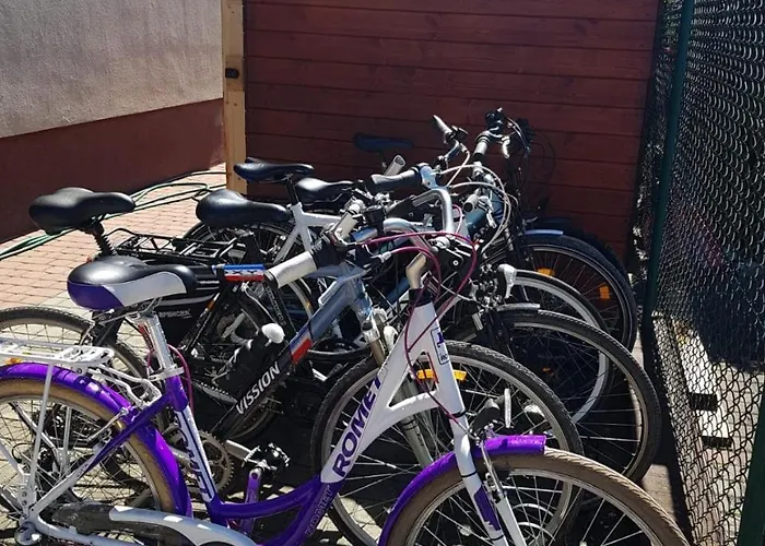 Goscinne Idalia Karwia